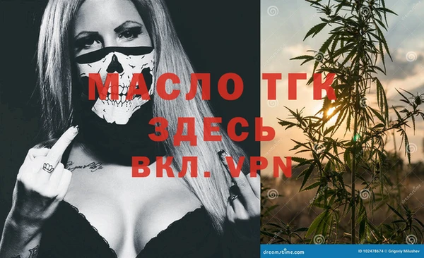 шишки Надым