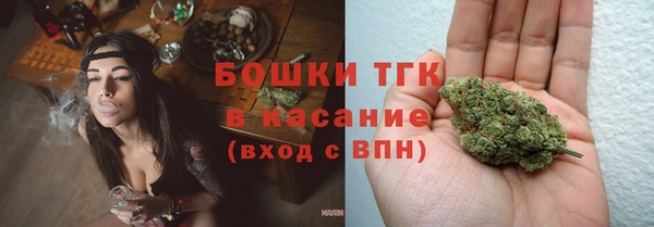 шишки Надым