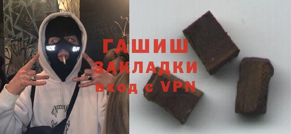 шишки Надым