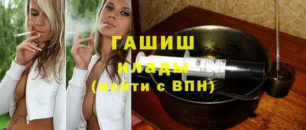 шишки Надым