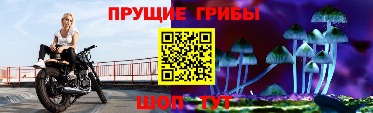 Галлюциногенные грибы MAGIC MUSHROOMS Муравленко