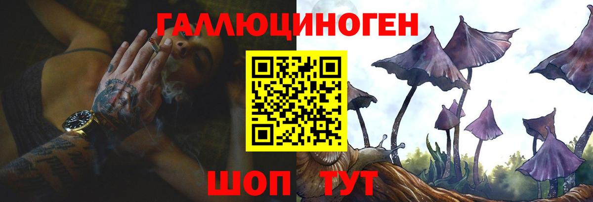 Псилоцибиновые грибы GOLDEN TEACHER  Псилоцибиновые грибы Psilocybe  Муравленко 