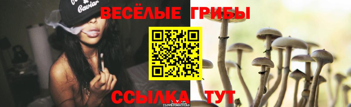 Псилоцибиновые грибы Magic Shrooms  Галлюциногенные грибы прущие грибы  Вход с VPN  где продают наркотики  Муравленко 