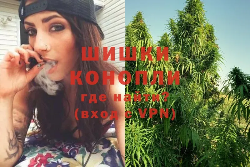 МАРИХУАНА SATIVA & INDICA  Муравленко 